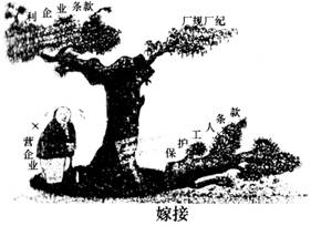 20090904171248001.jpg