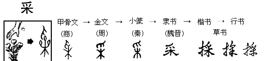 材料二:汉字经过了6000多年的变化,其产生及形体演变过程示例