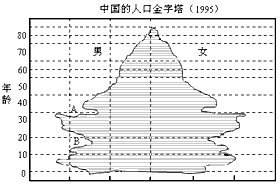 中国人口金字塔2021_中国人口金字塔