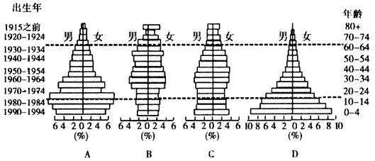 人口金字塔制作_人口金字塔