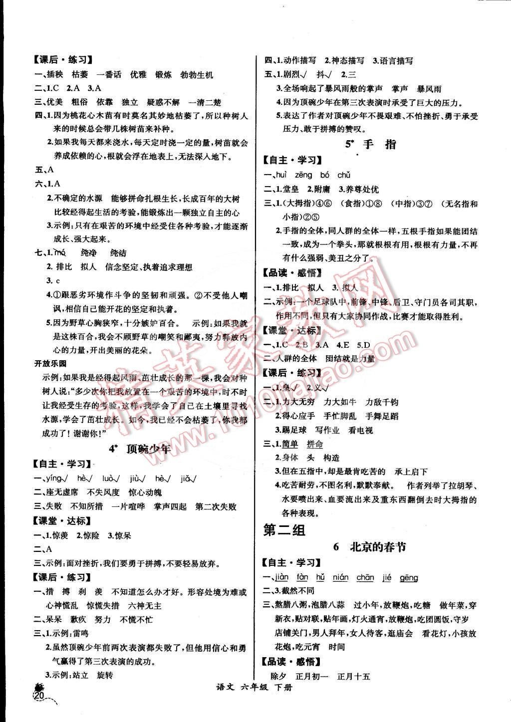 2016年同步导学案课时练六年级语文下册人教版河北专版