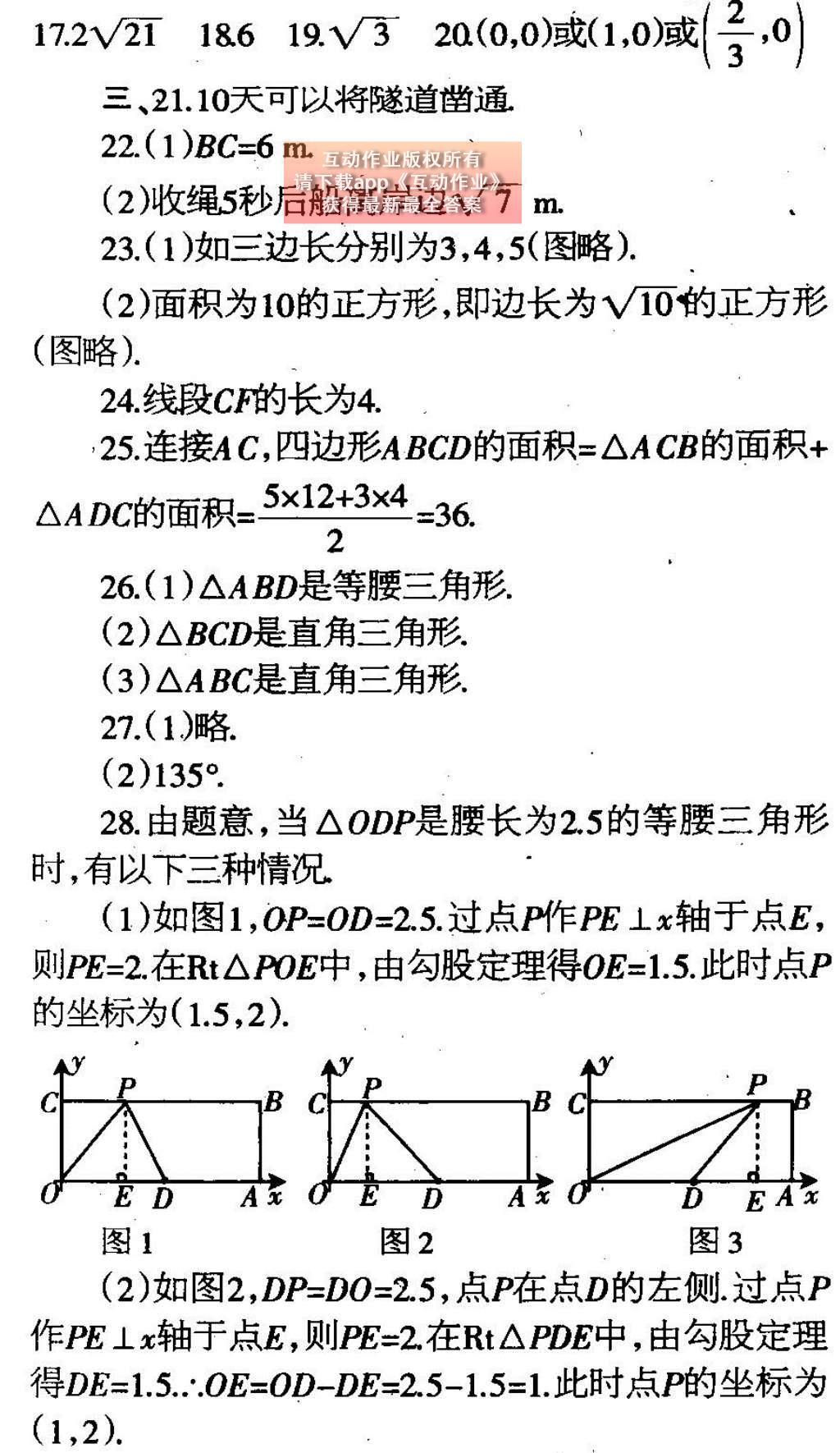 2e2dc711-07f2-46a3-8025-c23da84ef436.jpg