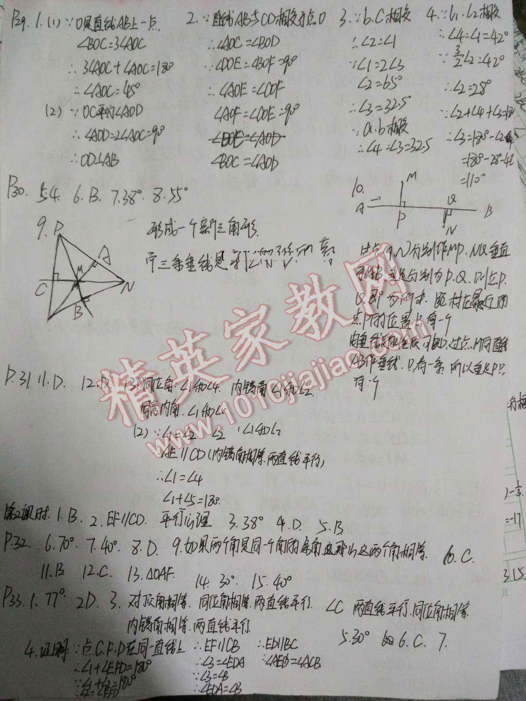 2016年基础训练七年级数学下册人教版河南省内使用大象出版社