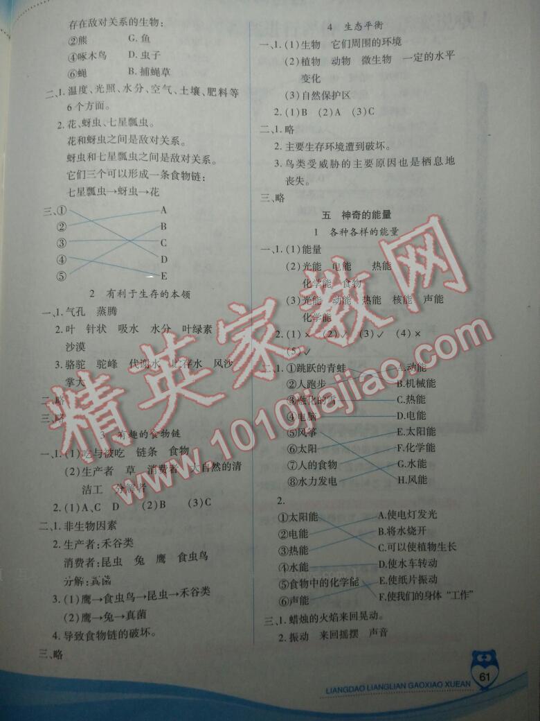 ece248a6-8afb-4ddb-b0d0-46c5111a6f37.jpg