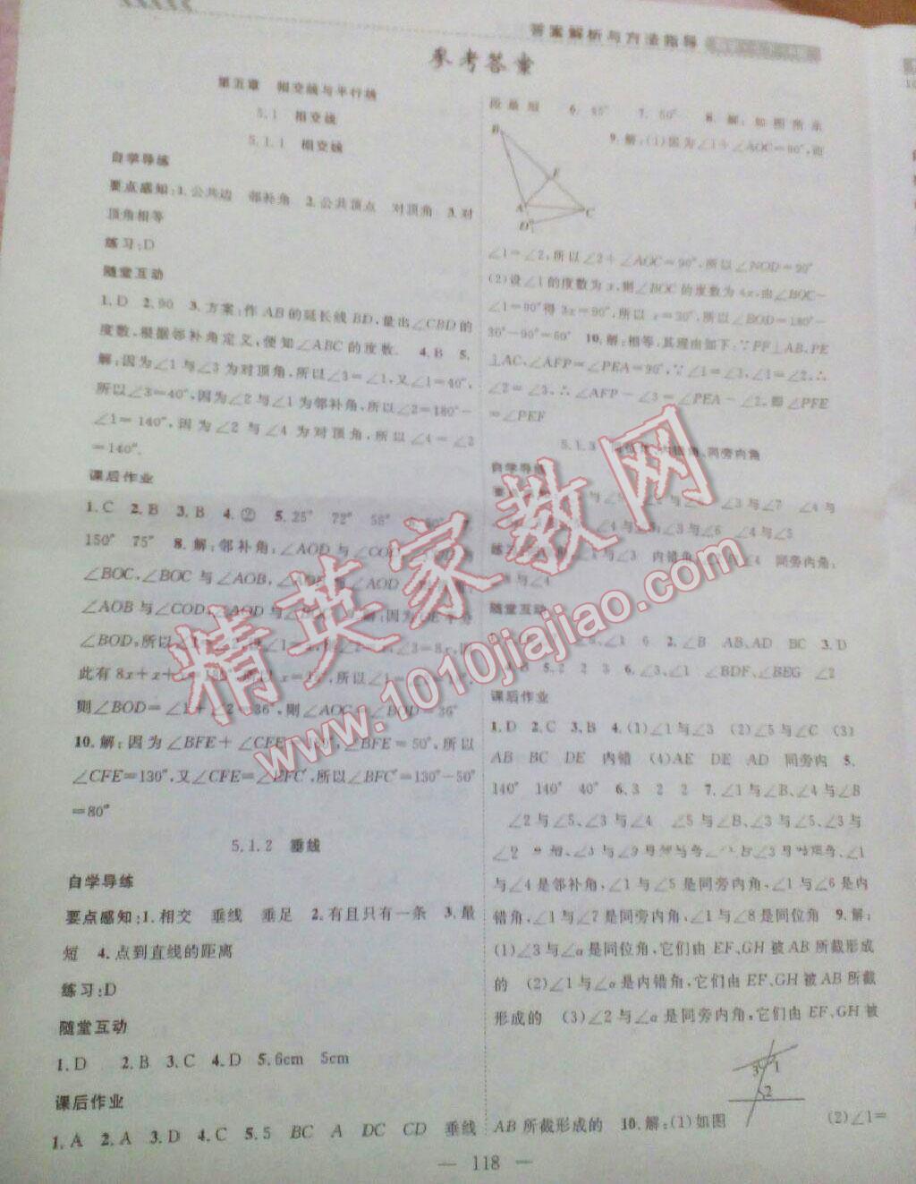 课时夺冠七年级数学下册北师大版 第1页 参考答案