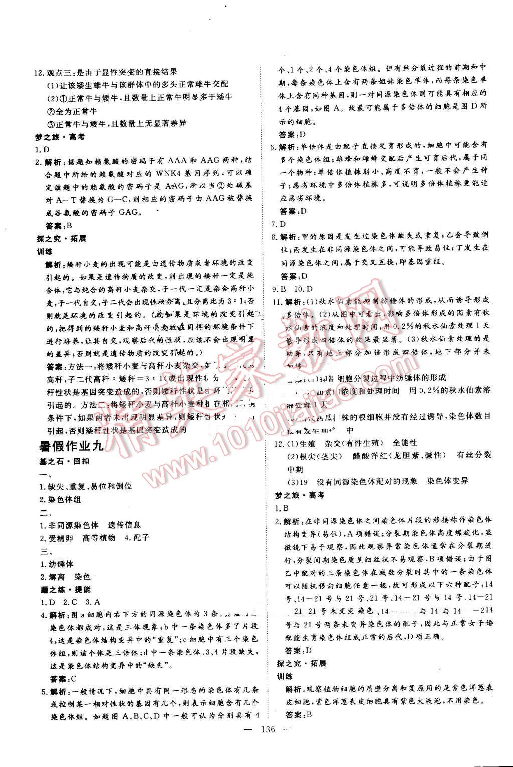 c457daeb-5b02-4a95-bc6f-0108b94b37a0.jpg