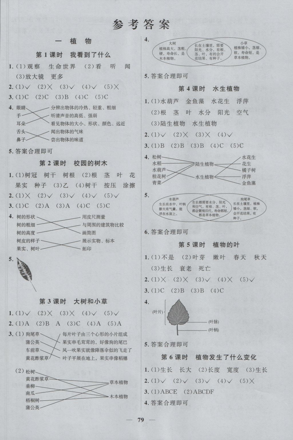 > 2016年阳光课堂课时优化作业三年级科学上册教科版 > 参考答案第1页