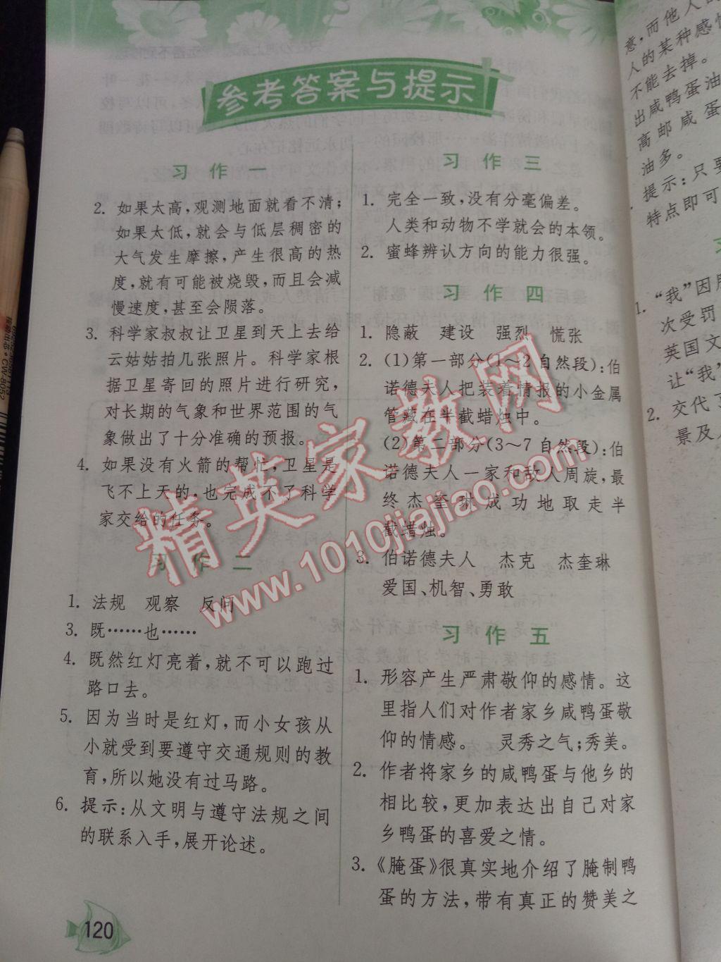 小学语文去年的树教案_小学语文的教案怎么写_小学语文名师教案