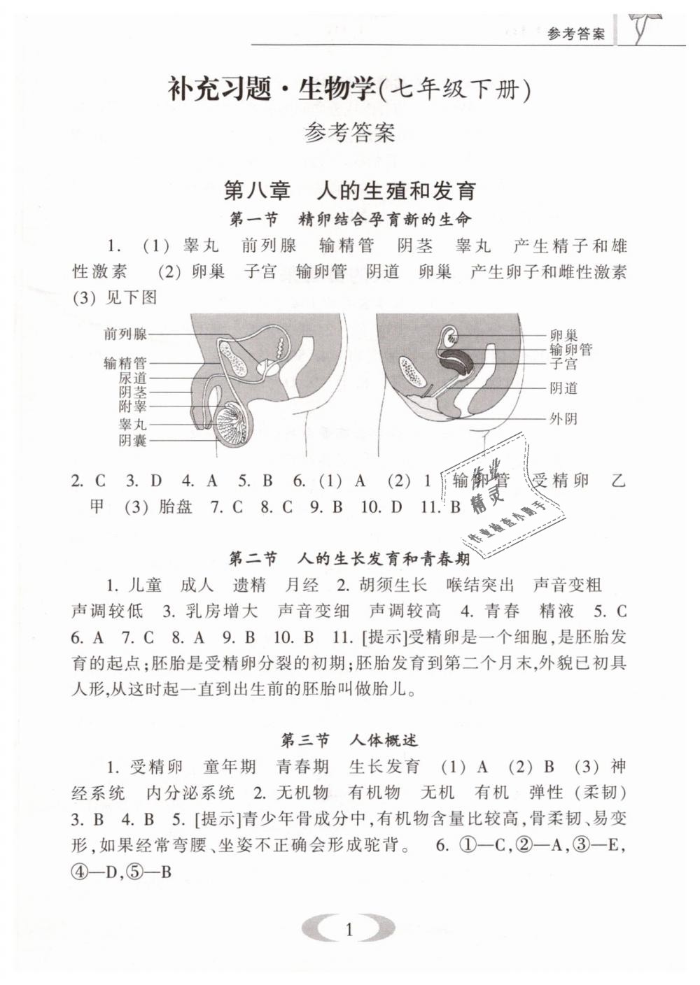 2019年补充习题七年级生物学下册苏教版江苏凤凰教育出版社答案