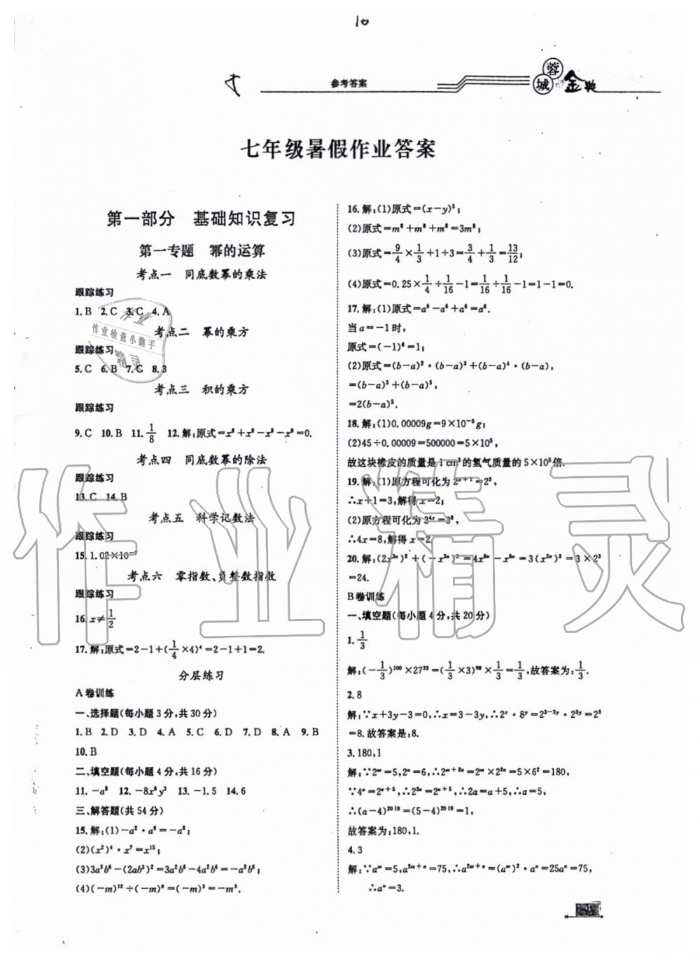 2019年蓉城金典期末专题复习及暑假作业七年级数学下册答案—青夏