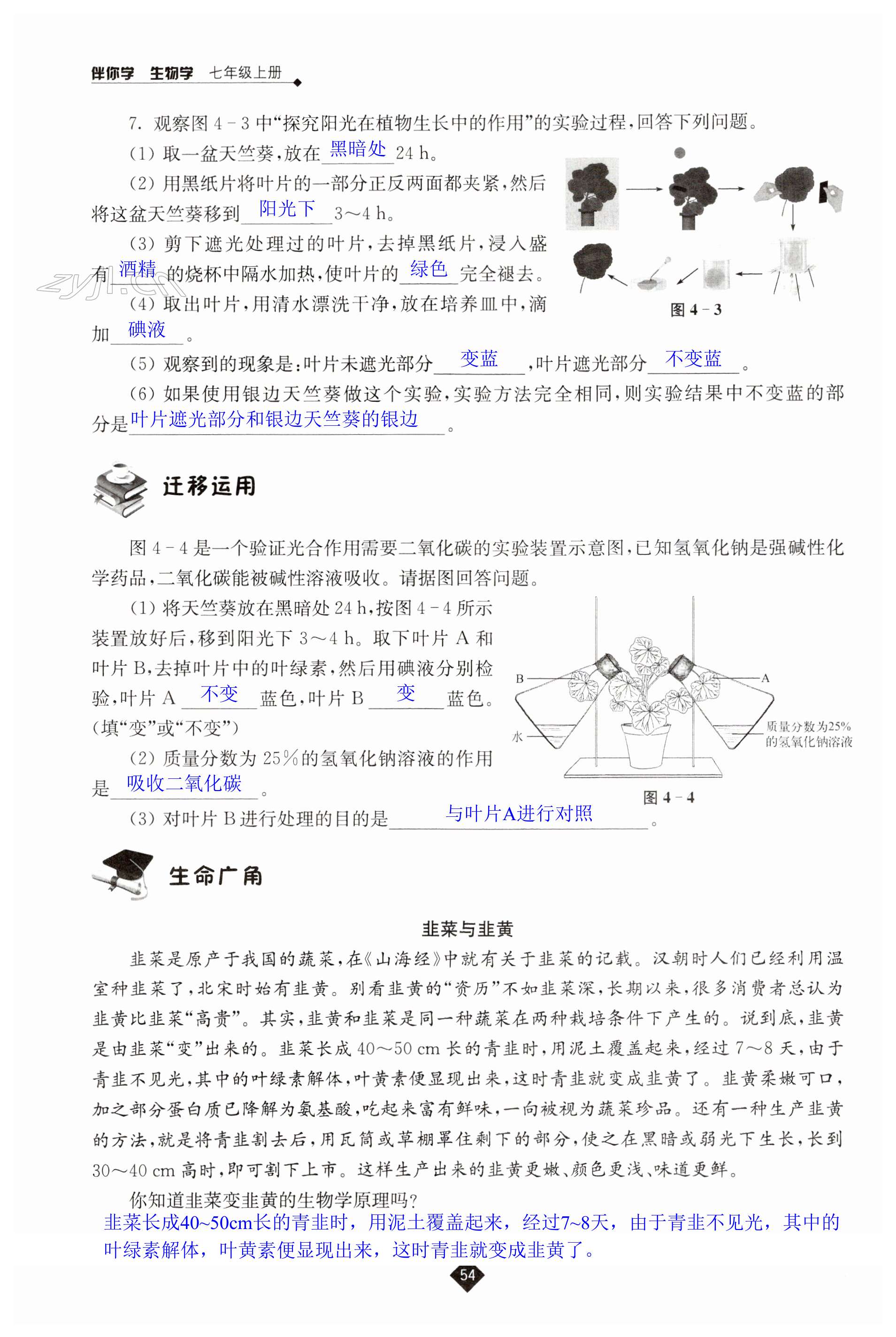 第54页