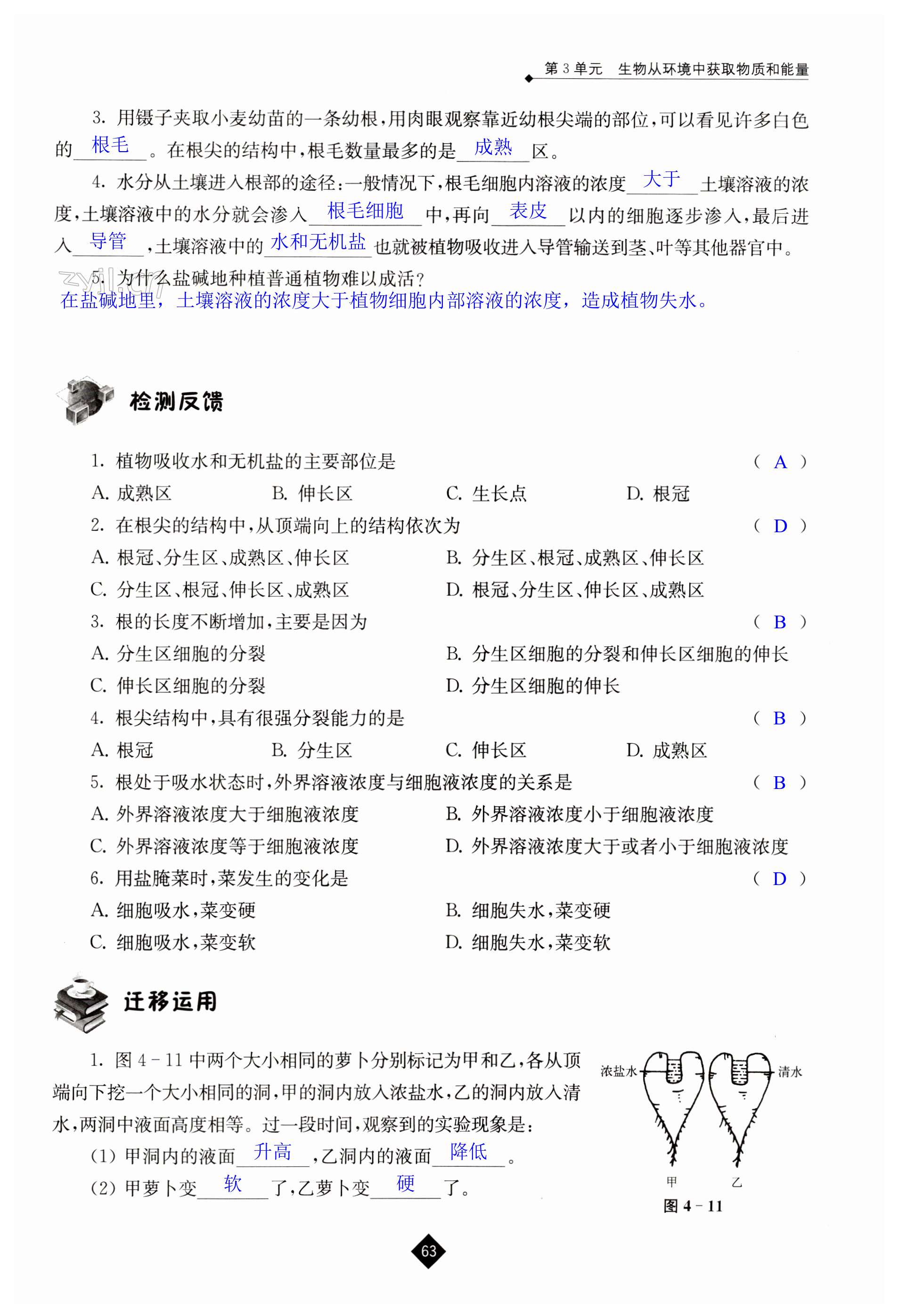 第63页