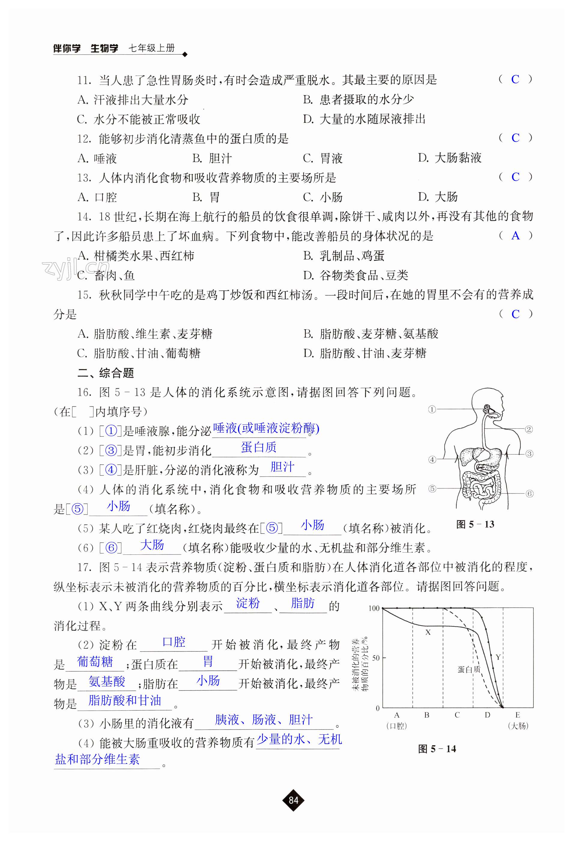 第84页