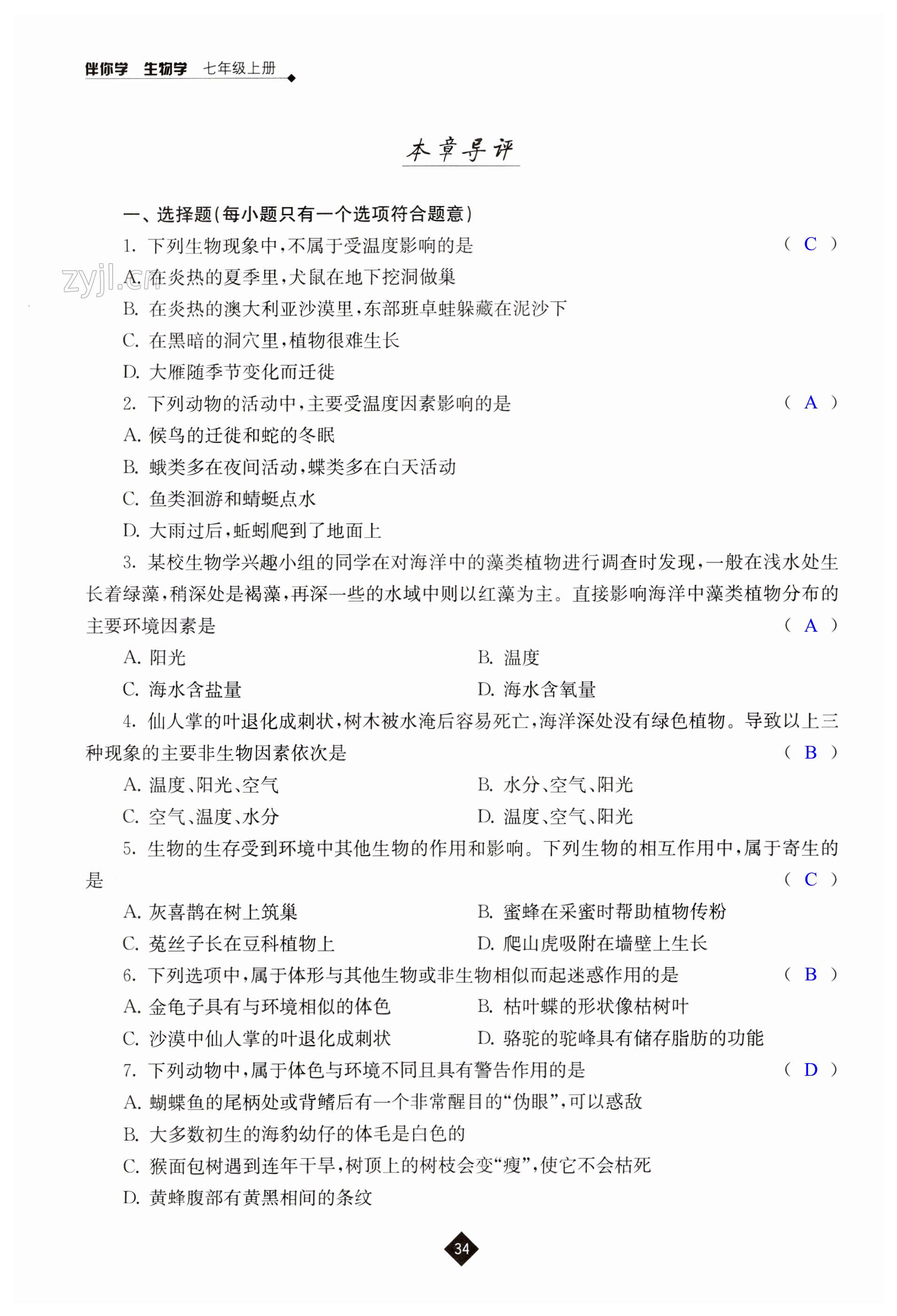 第34页
