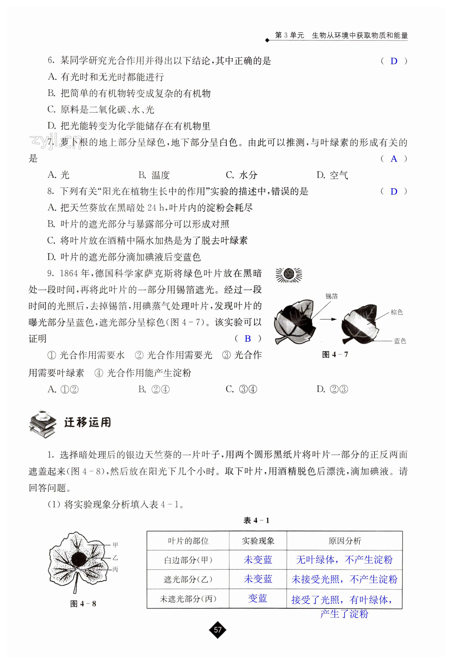 第57页
