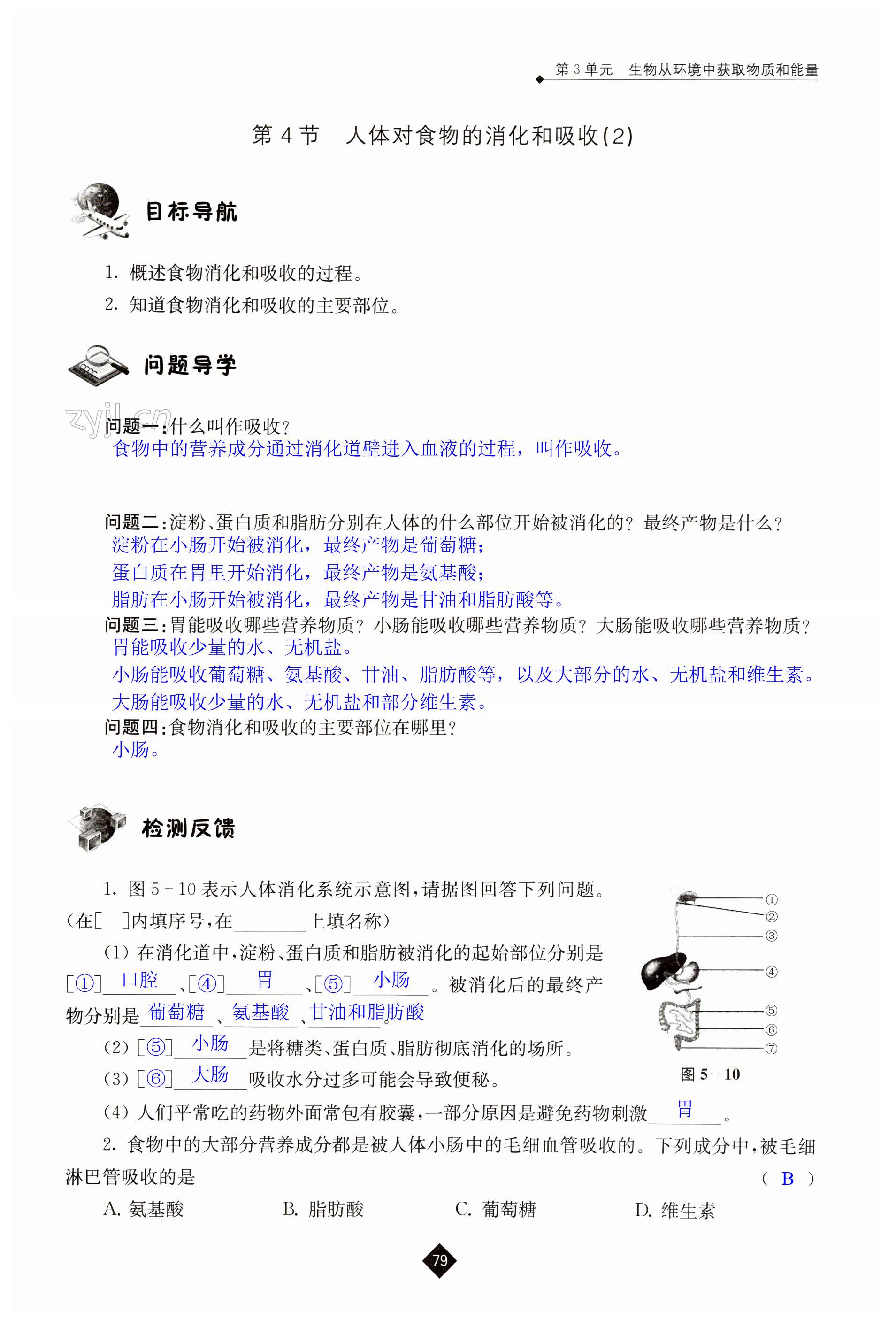 第79页