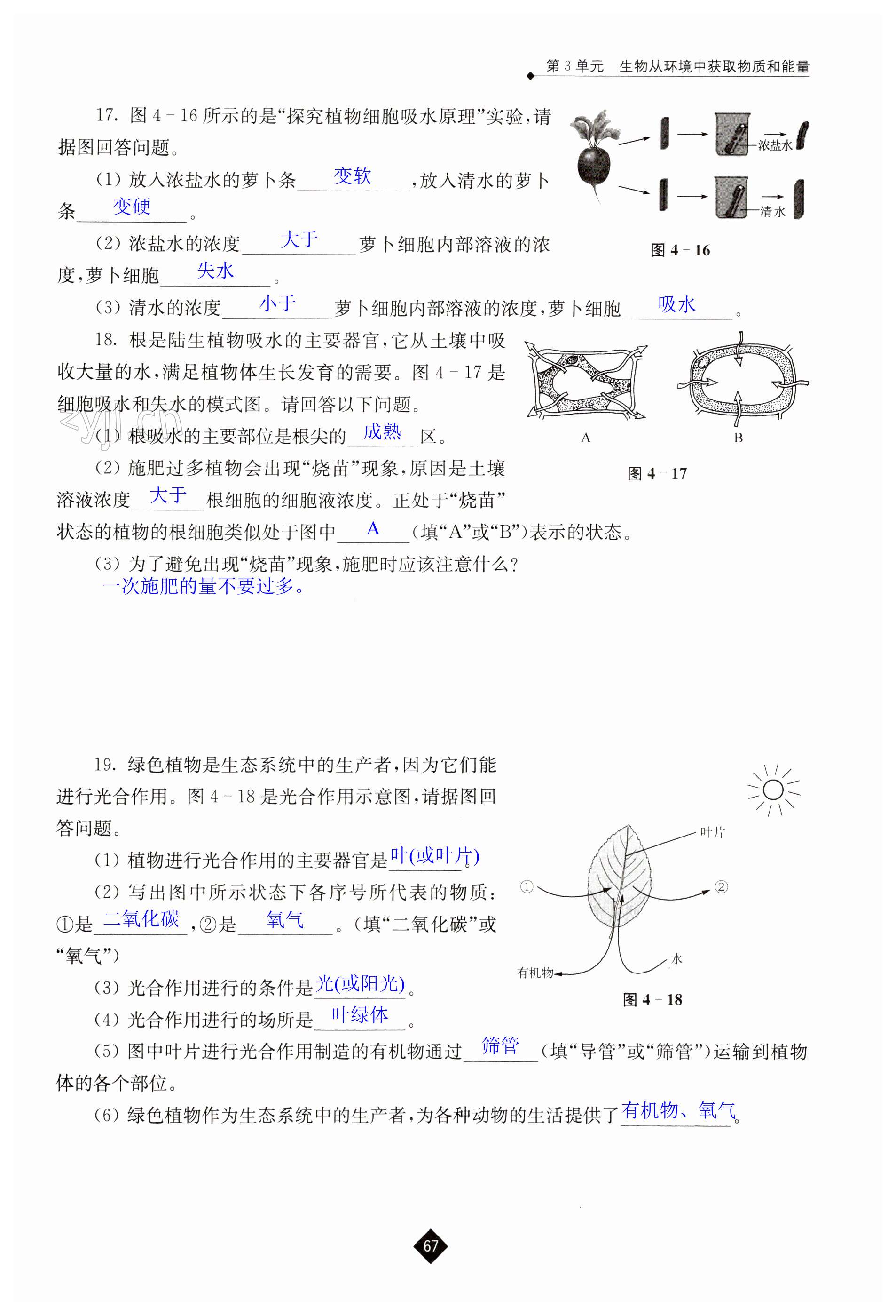 第67页