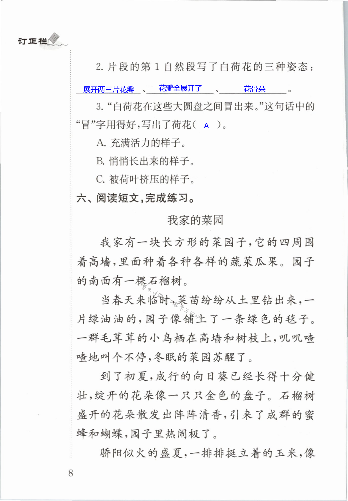 3 荷花 - 第8页