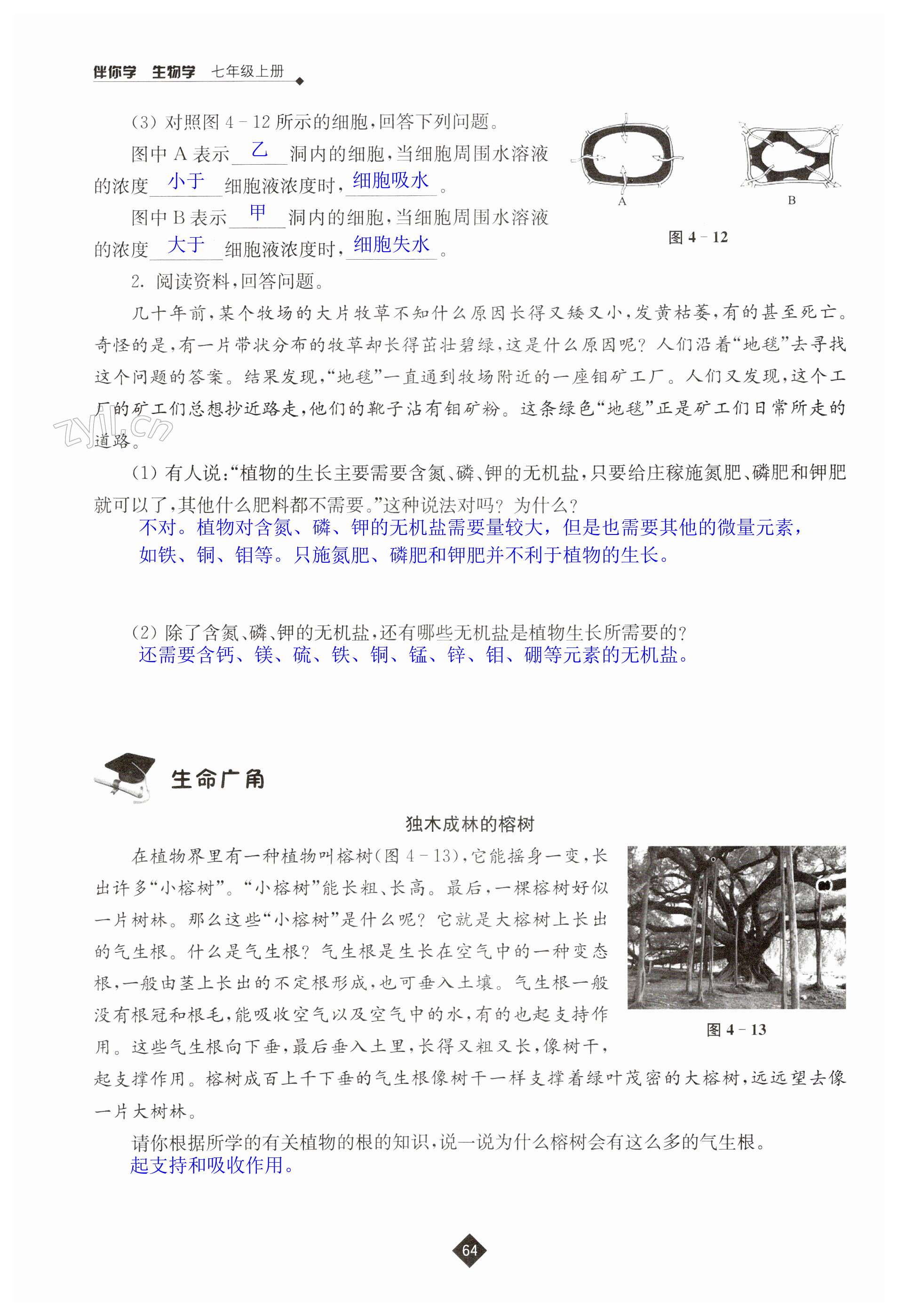 第64页