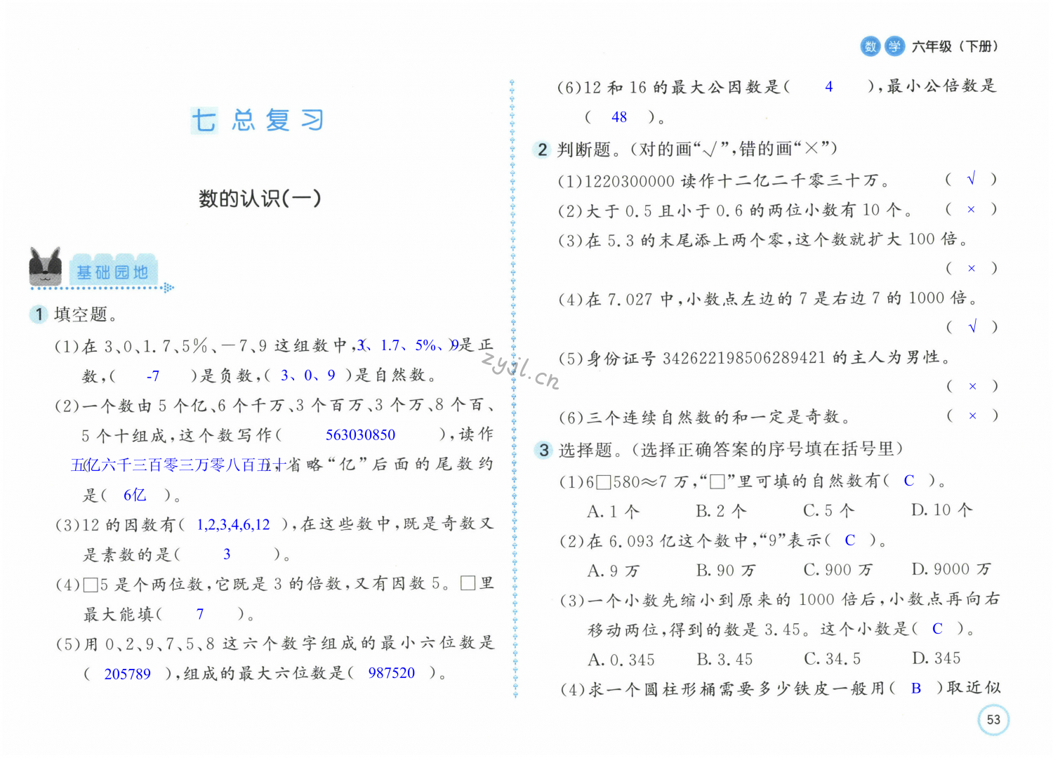 第53页