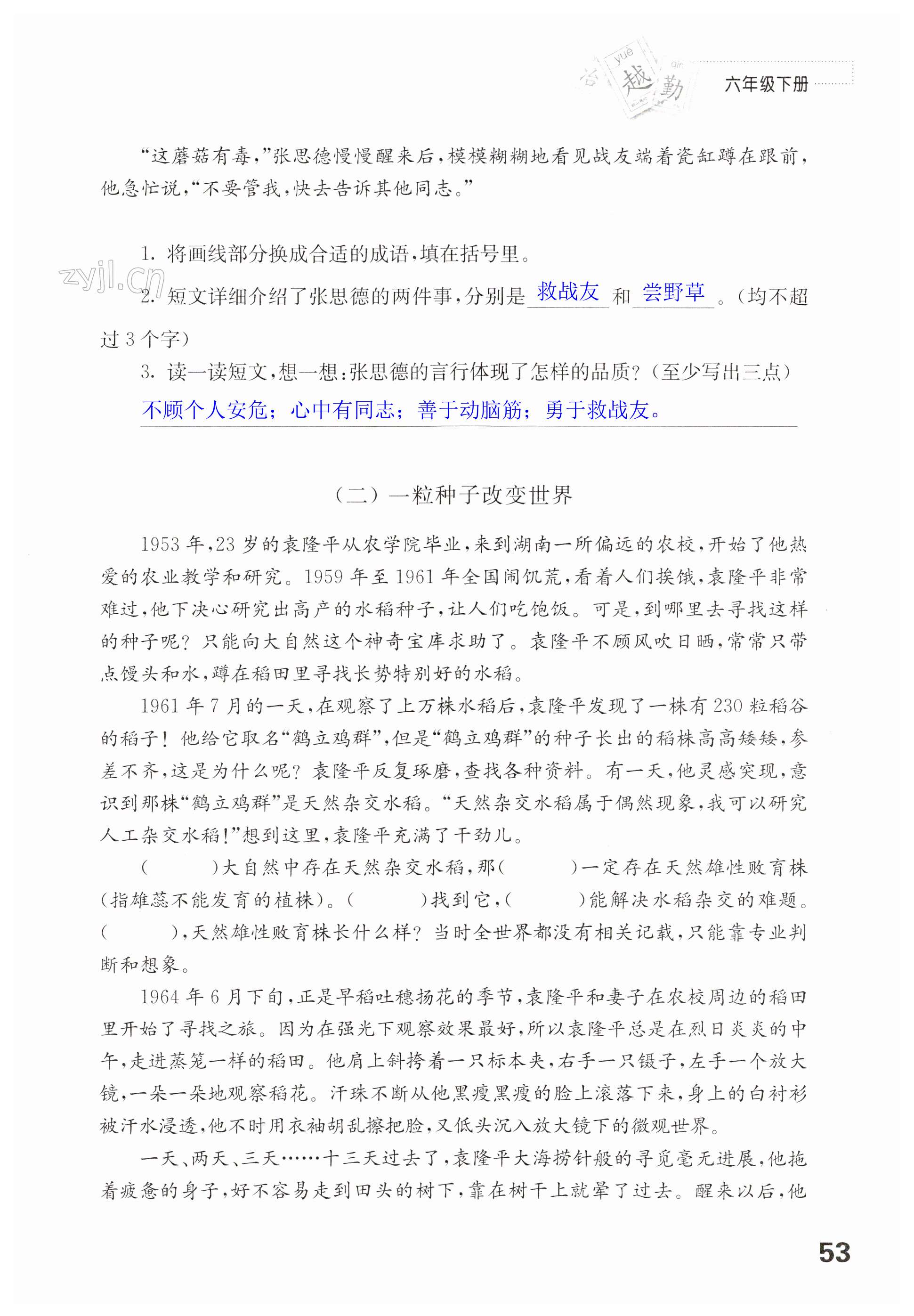 第53页