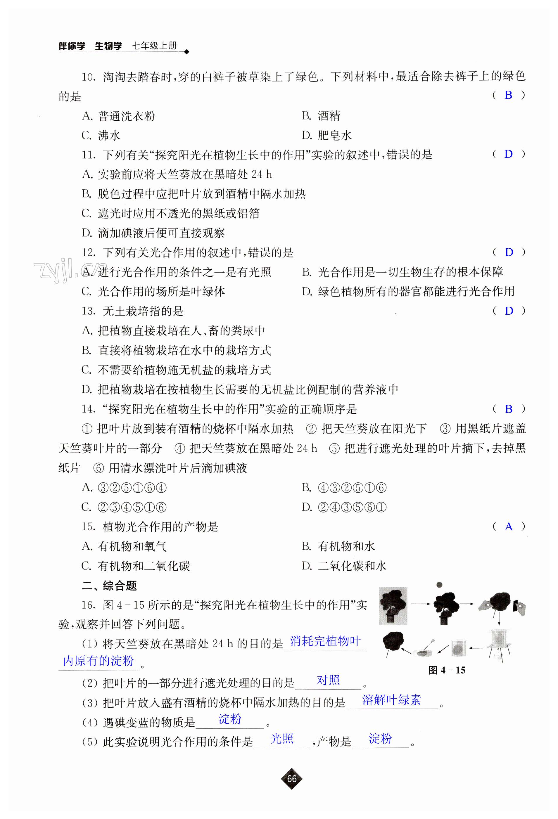 第66页