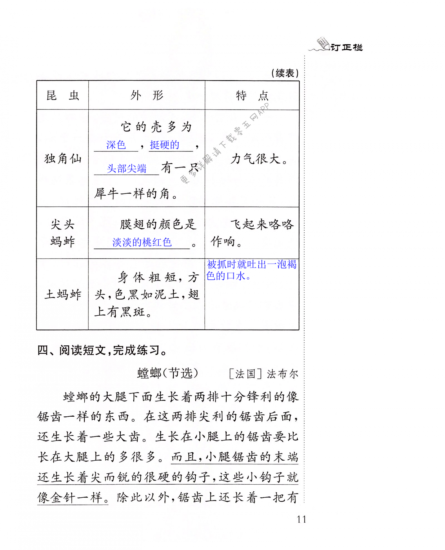 4 昆虫备忘录 - 第11页