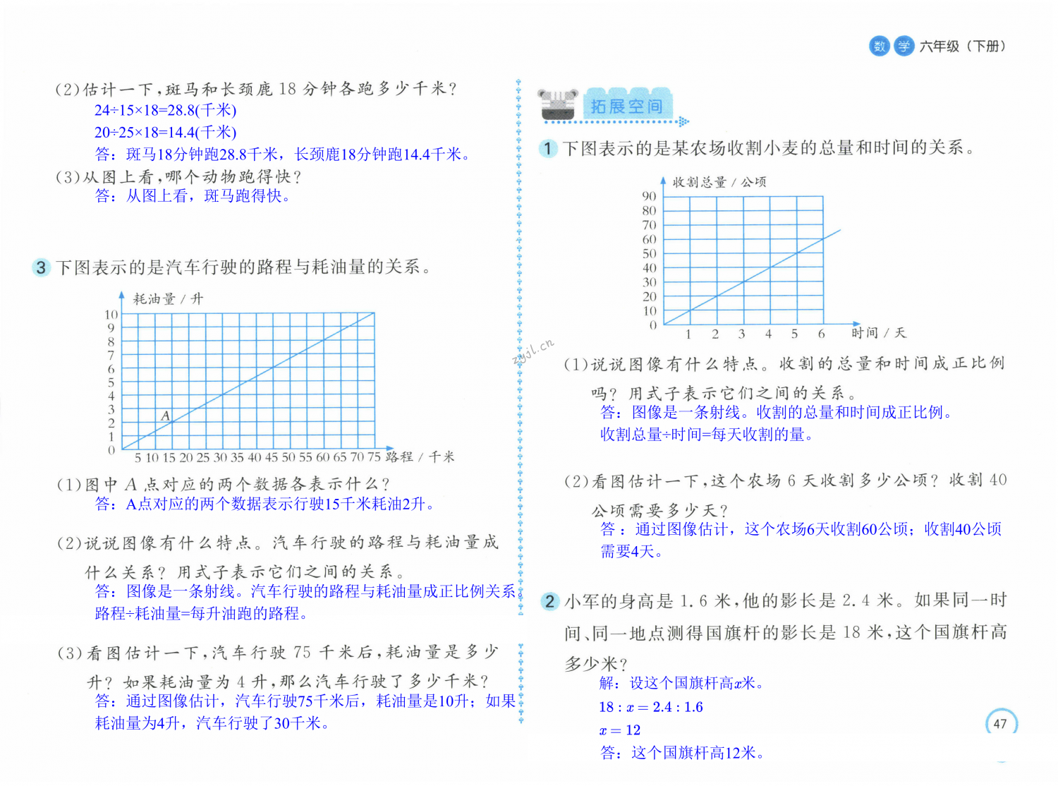 第47页
