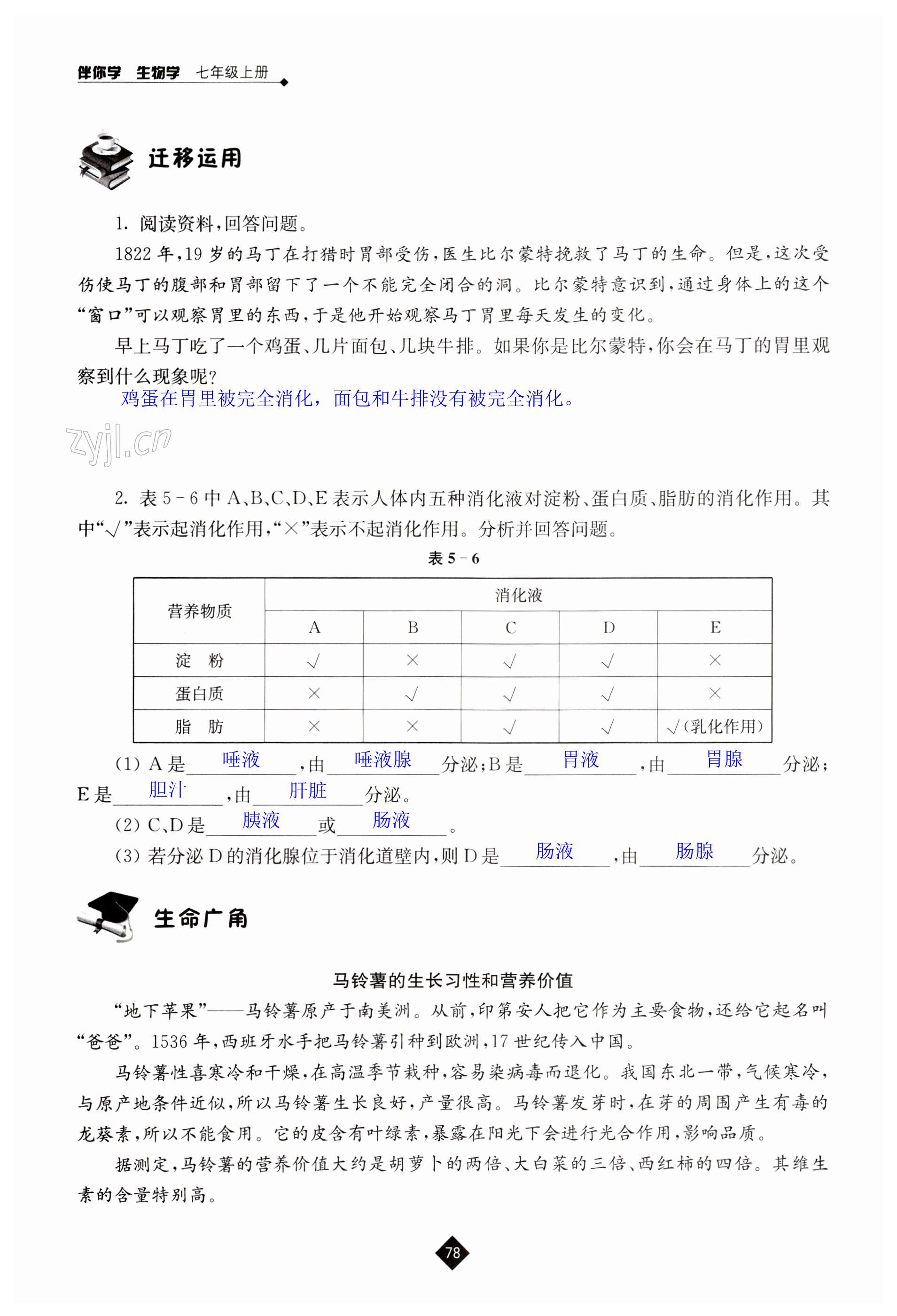 第78页
