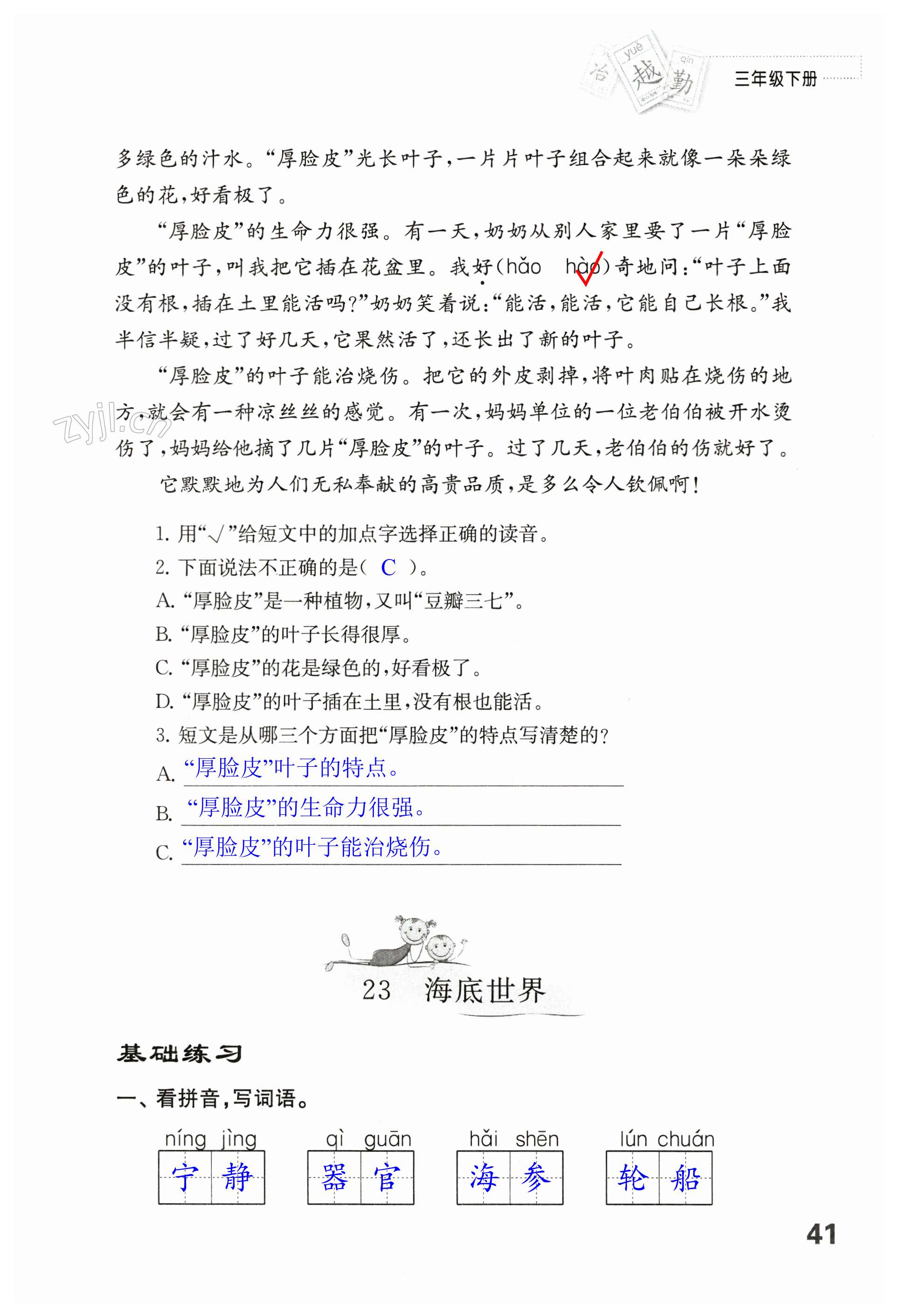 第41页
