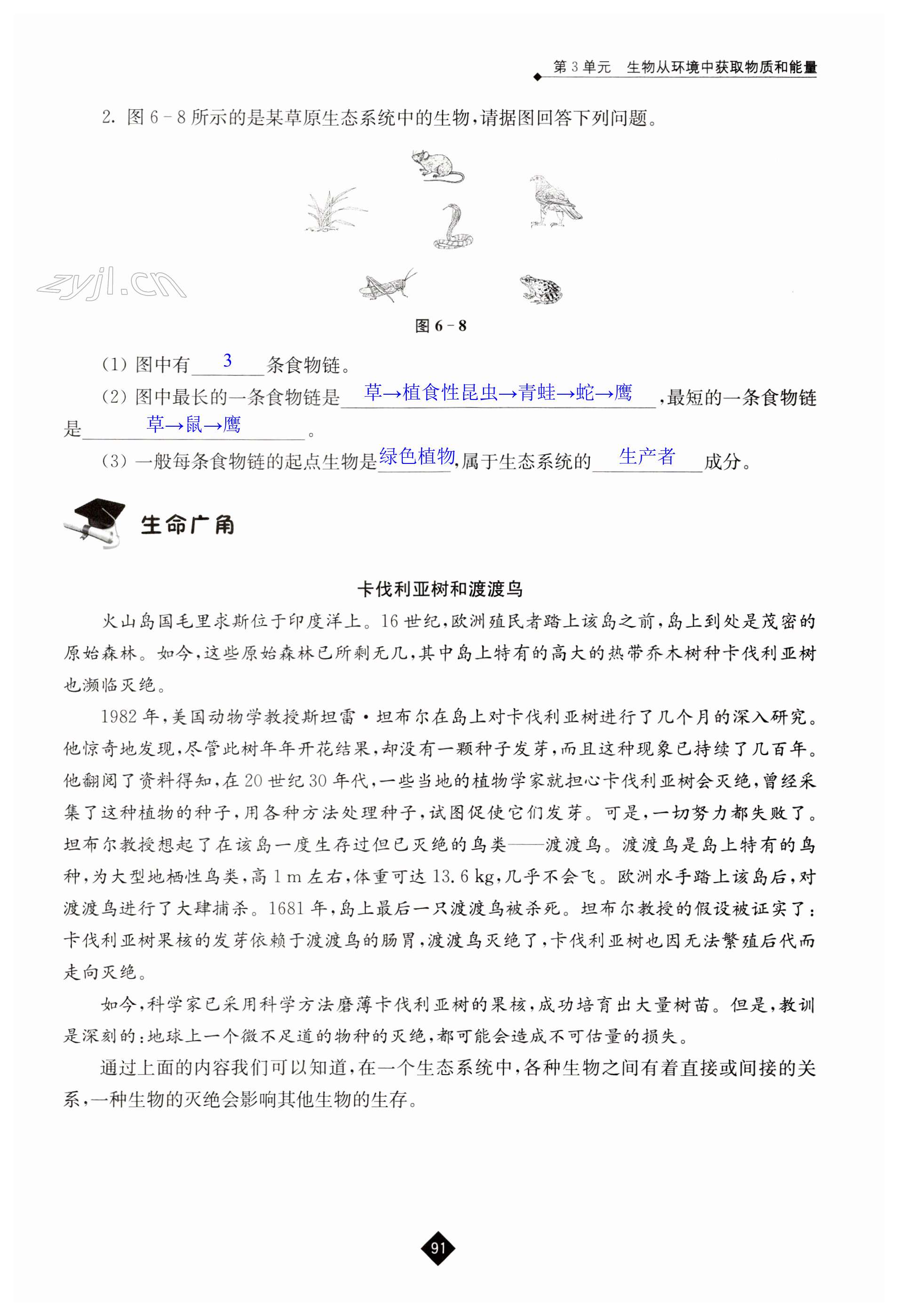 第91页