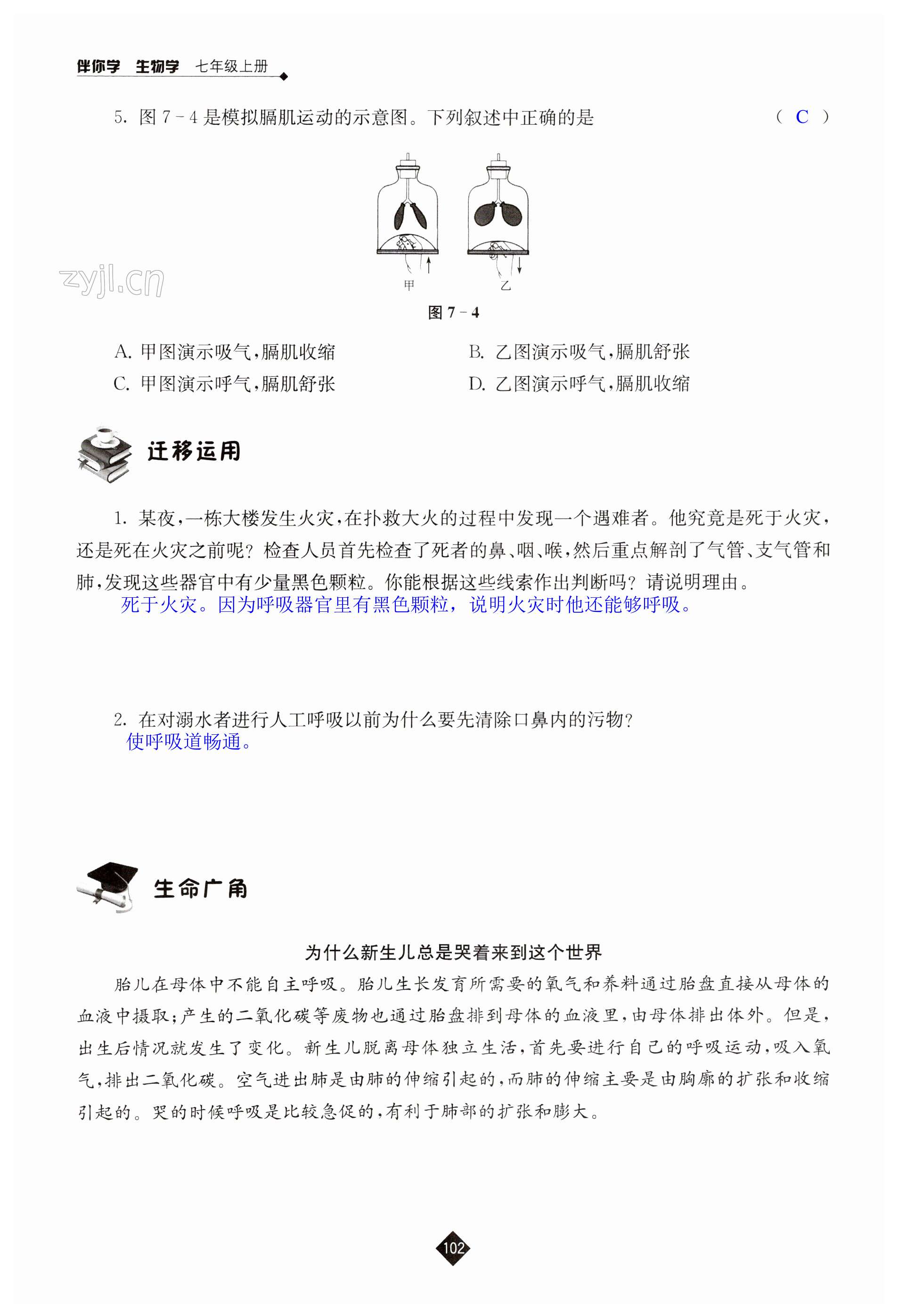 第102页