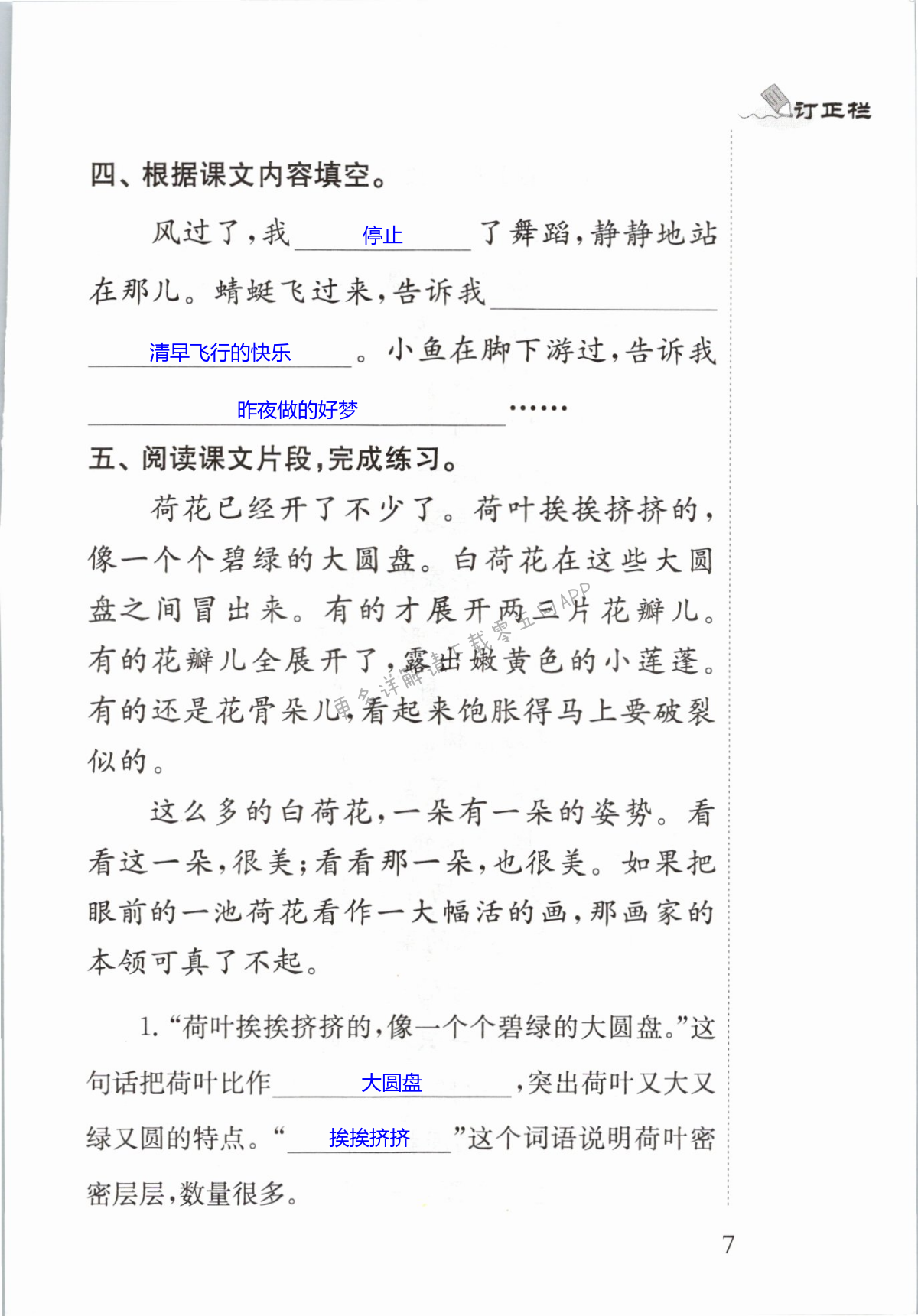 3 荷花 - 第7页