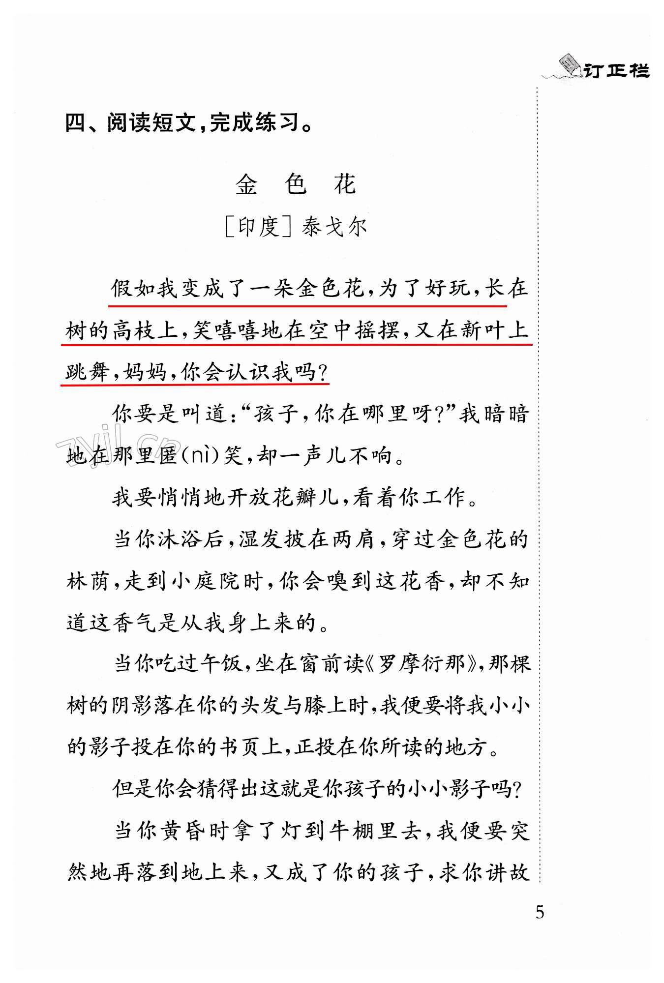 第5页