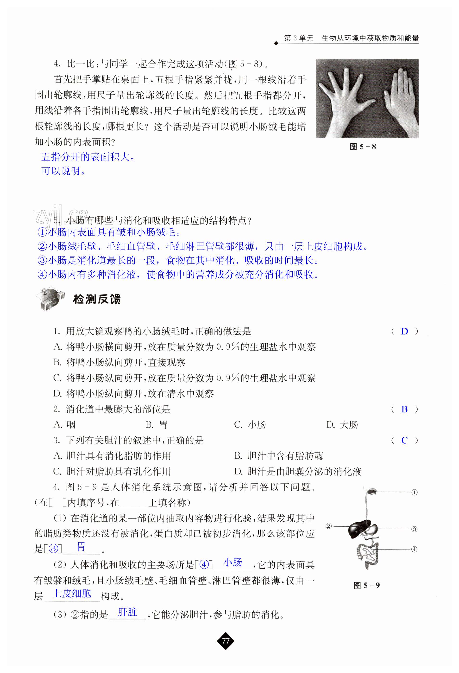 第77页
