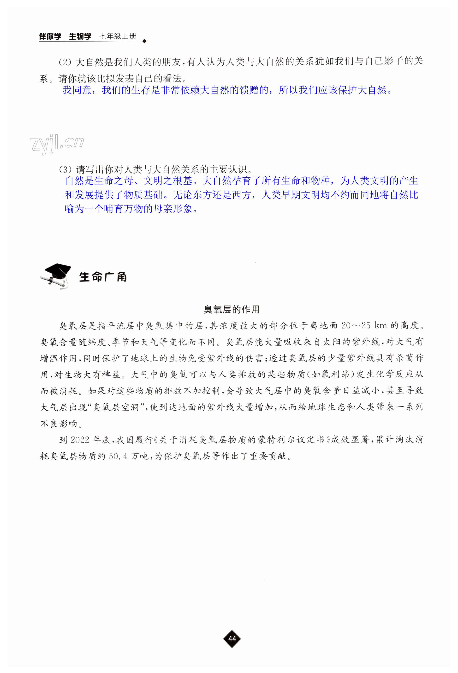 第44页