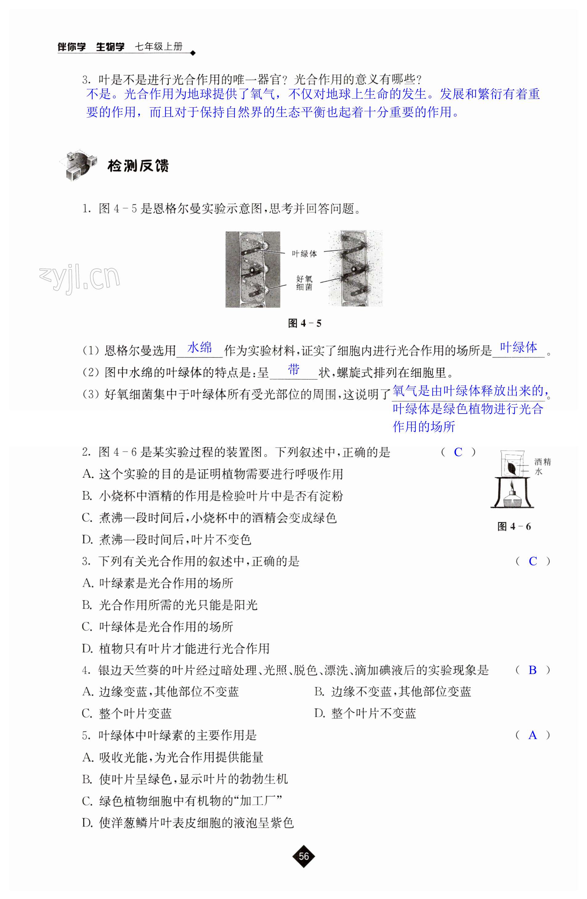 第56页