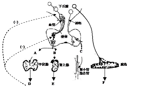 W(xu)ƾW(wng)(Zxxk.Com)