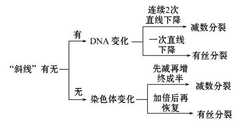 化工原理a代表什么_幸福是什么图片(2)