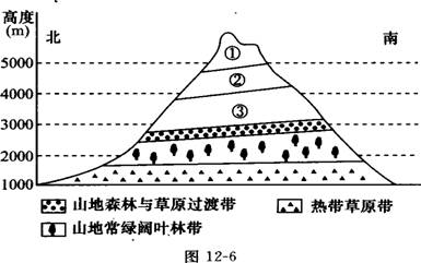 回顾7 测试考点2(典型例题.8分)图12-6表示的是某山垂直自然带的分布.