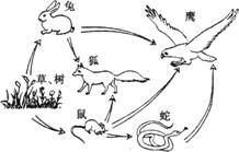 image010.jpg