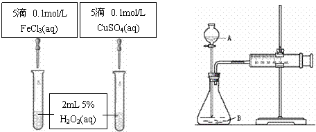 下列气体中.只能用排水法收集的是 a.氨气 b.氯气 c.二氧化硫 d.