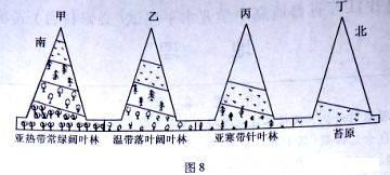 人口分割迁移_人口迁移思维导图