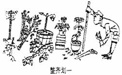 image008.jpg