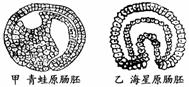 如图表示某种雌雄异株植物的雌性植株及繁殖后代的.请