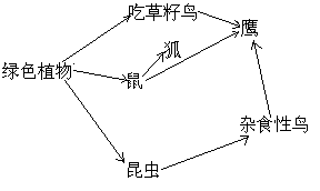 (2)画完整后该食物网中食物链共有 条.