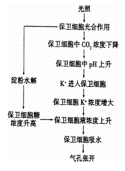 气体交换的原理是什么的作用_o2是什么气体(2)