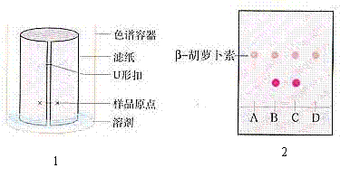 (3)下图1是某同学设计的纸层析法鉴定胡萝卜素粗品的实验装置