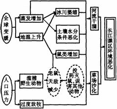 归根到底人口_落叶归根图片