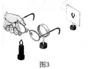 把图3中的凸透镜看作眼睛的晶状体,光屏看作是视网膜.
